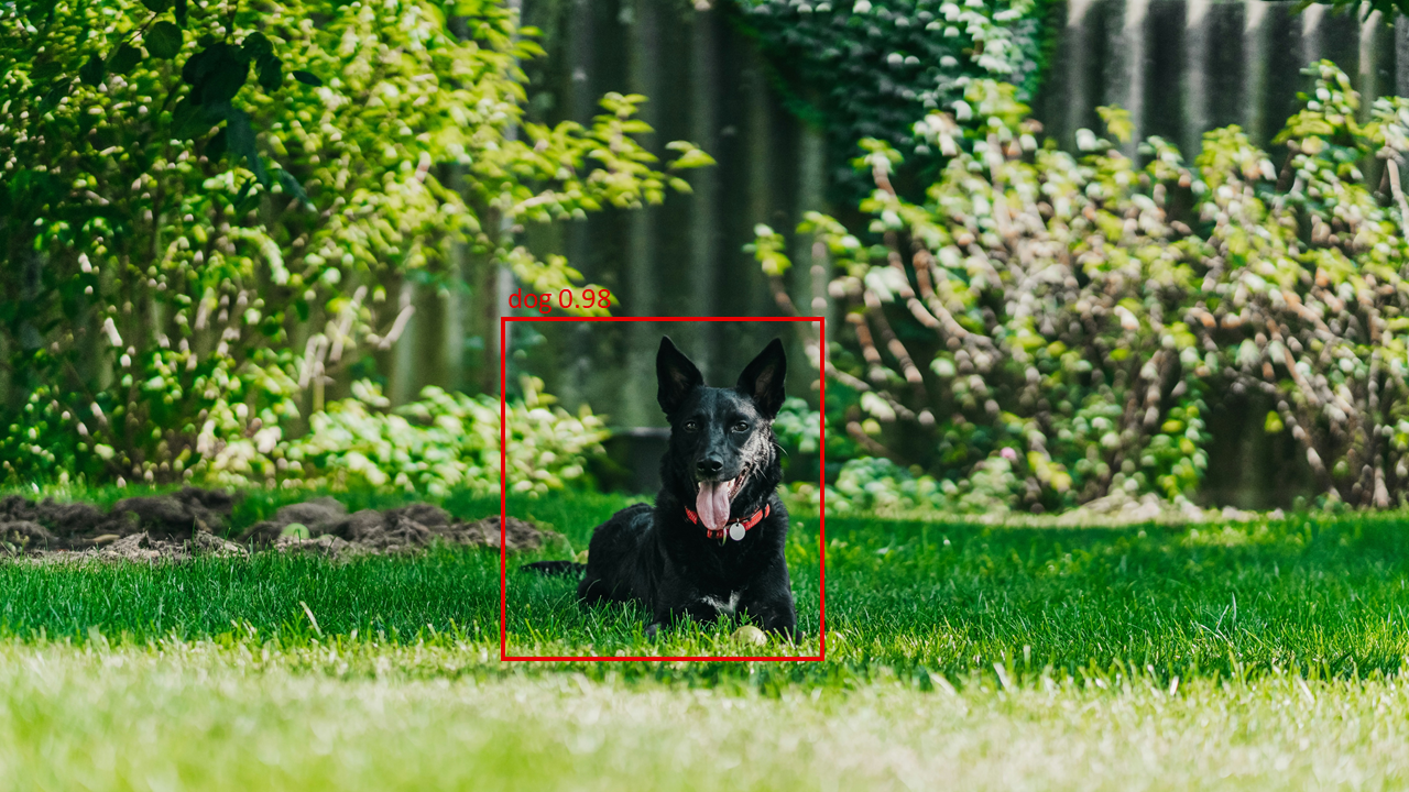 Dog in Garden Detection